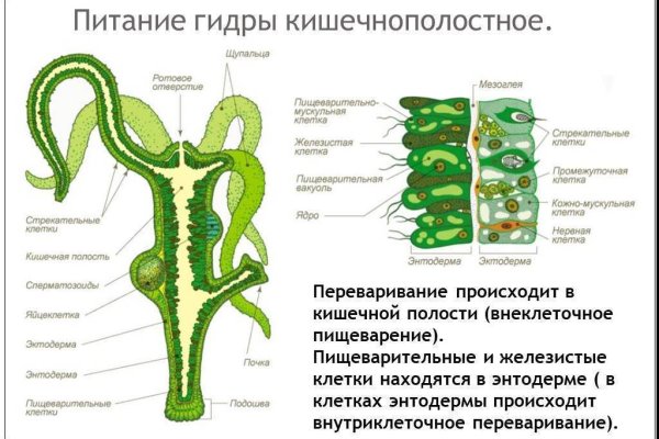 Купить наркотики москва